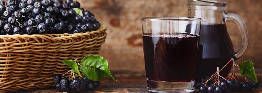Hodowla sadzonek aronii i sprzedaż przetworów, Aronia Eggert Sp. z o.o., Kolonia Bądków